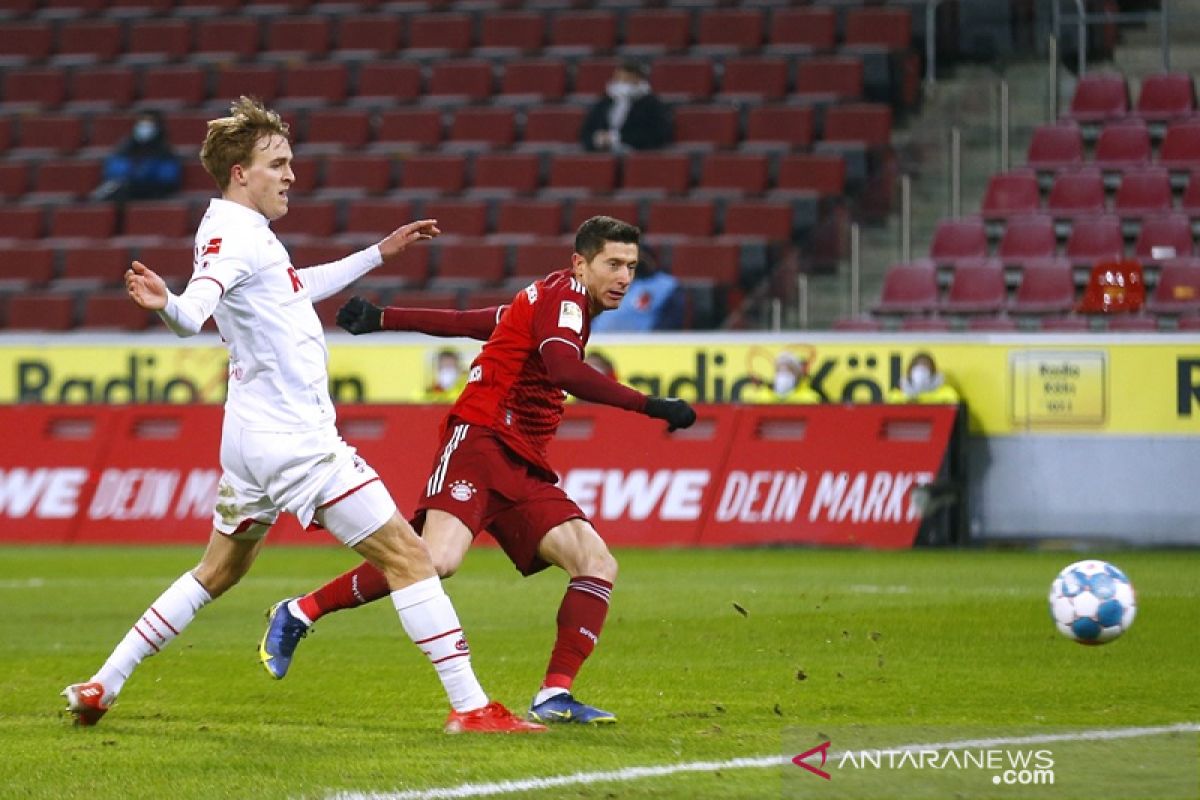 Bayern bantai FC Cologne 4-0, Lewandowski cetak tiga gol