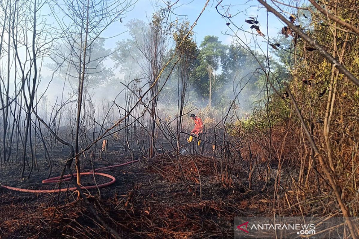 Tiga kasus karhutla terjadi di wilayah Bintan dalam sepekan terakhir