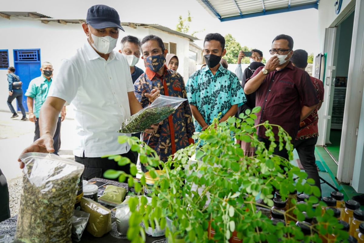 Menkop dan UKM Teten Masduki dukung pengembangan produk industri daun kelor