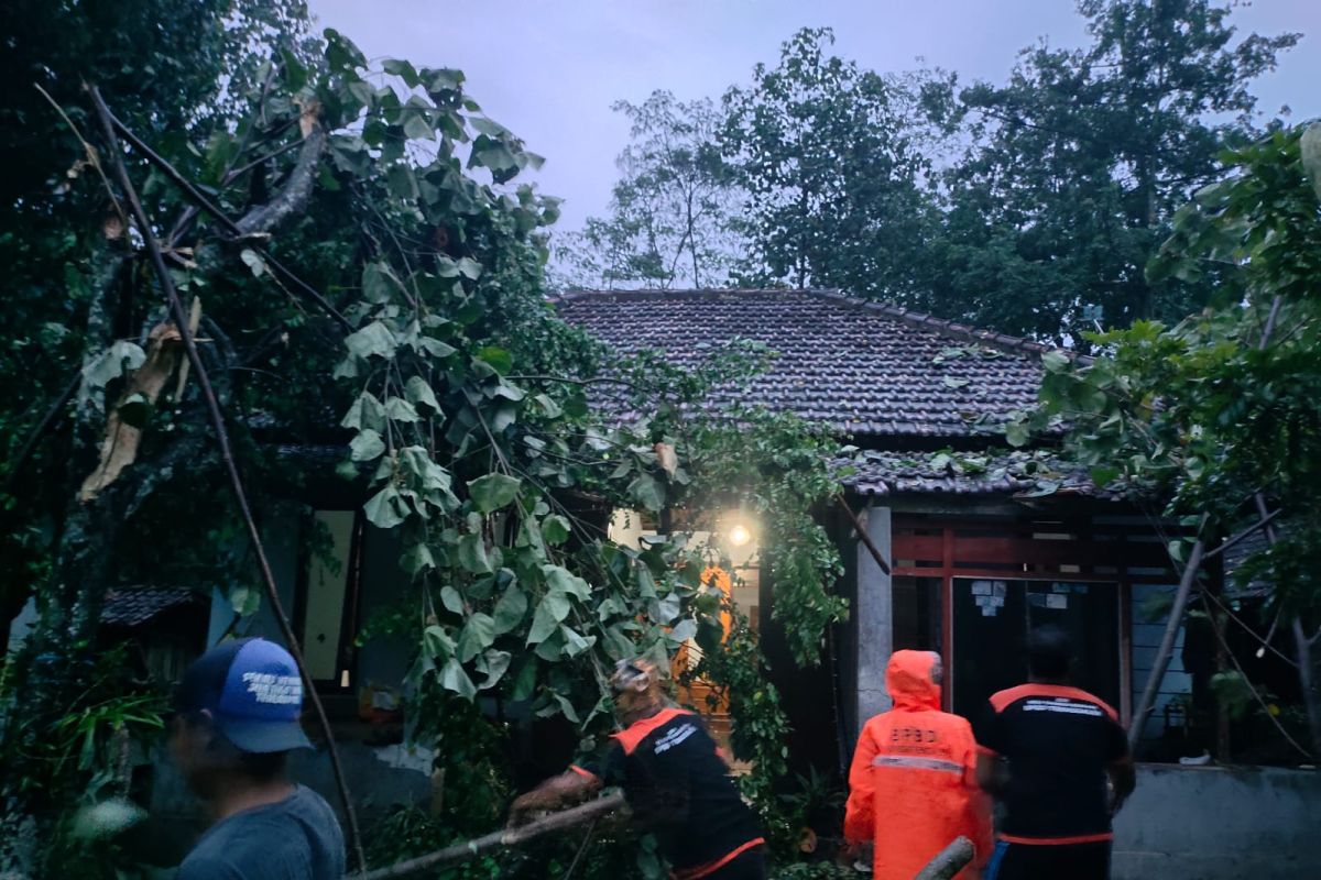 Dua rumah rusak terdampak bencana angin kencang di Kabupaten Trenggalek