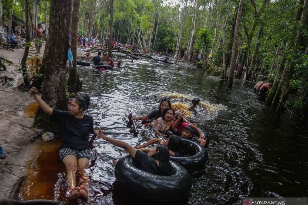 Upaya Pemerintah Tanjung Jabung Timur kelola hutan lindung gambut, Jambi