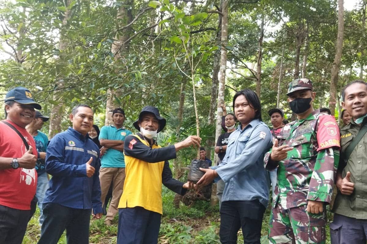 KTH Bukit Priangan tanam 500 bibit jengkol dan petai di hutan lindung
