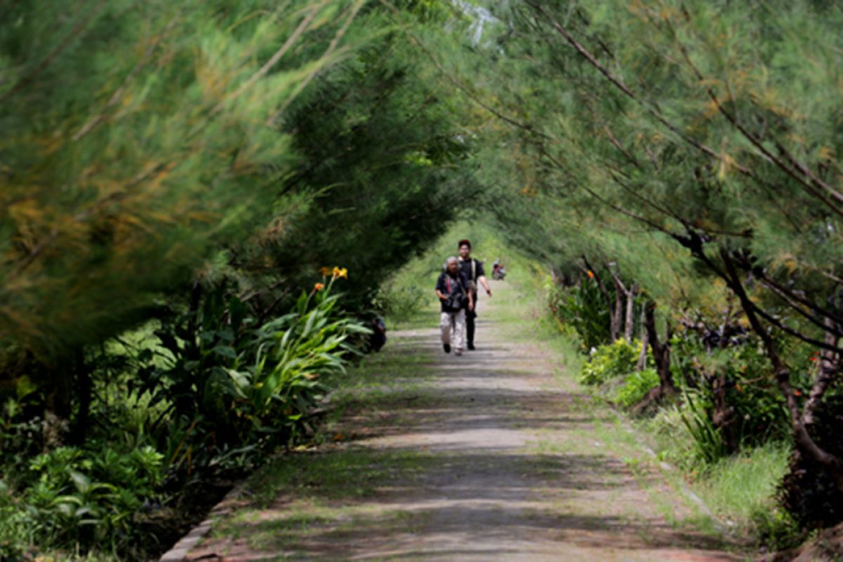 Capain pembangunan hutan kota di Kota Surabaya masih jauh dari target