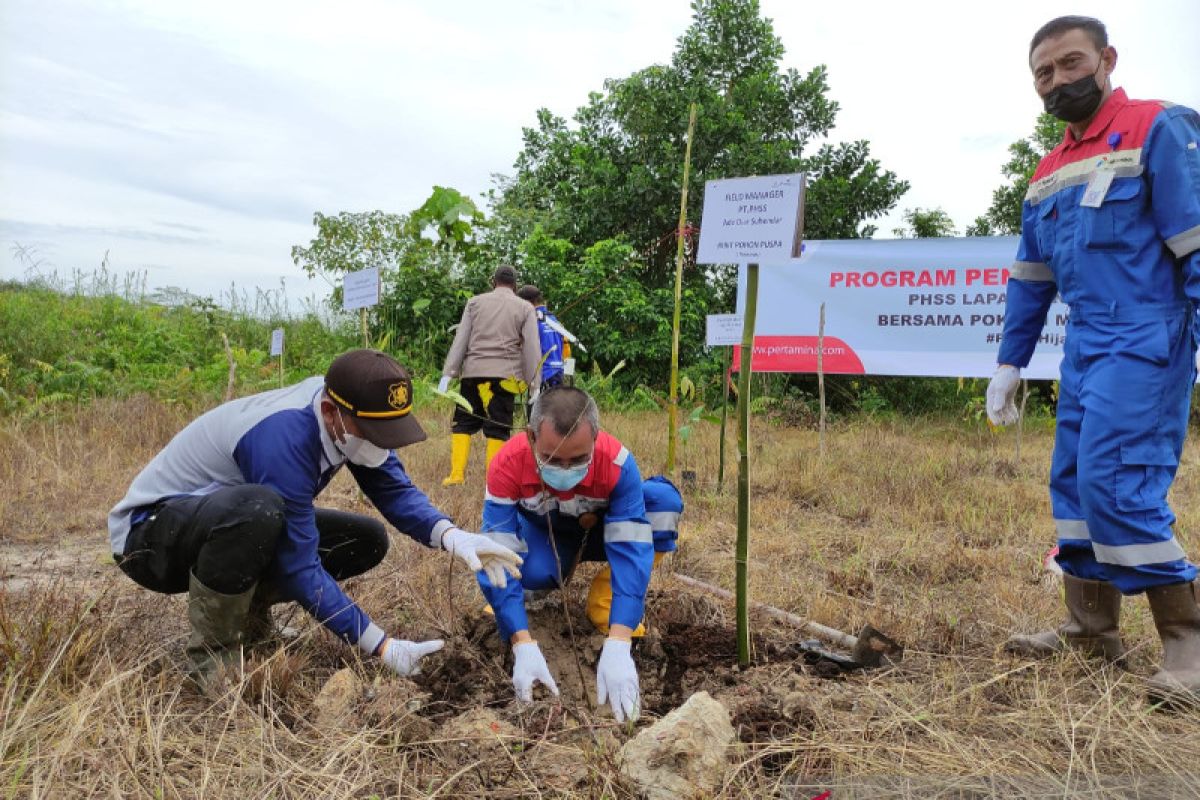 PHSS tanam ratusan bibit pohon di sekitar daerah operasi