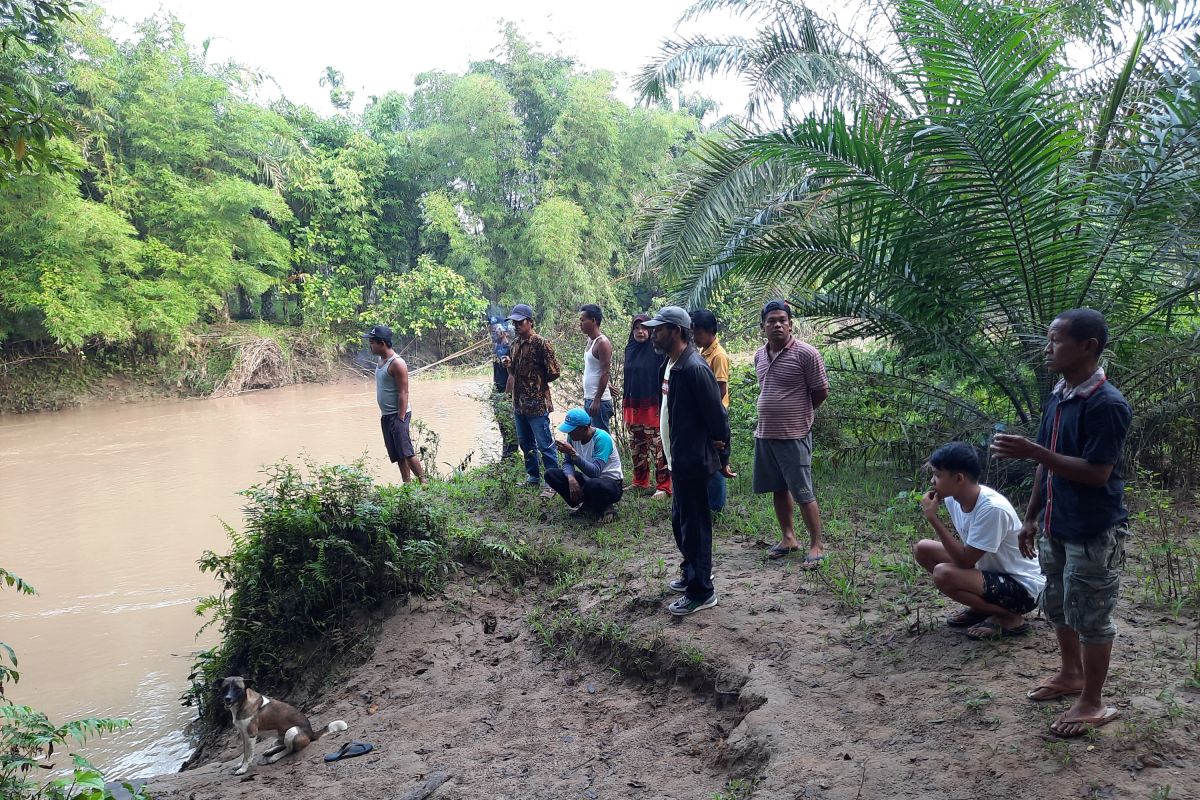 Buaya serang siswa SD di Agam saat mandi pagi