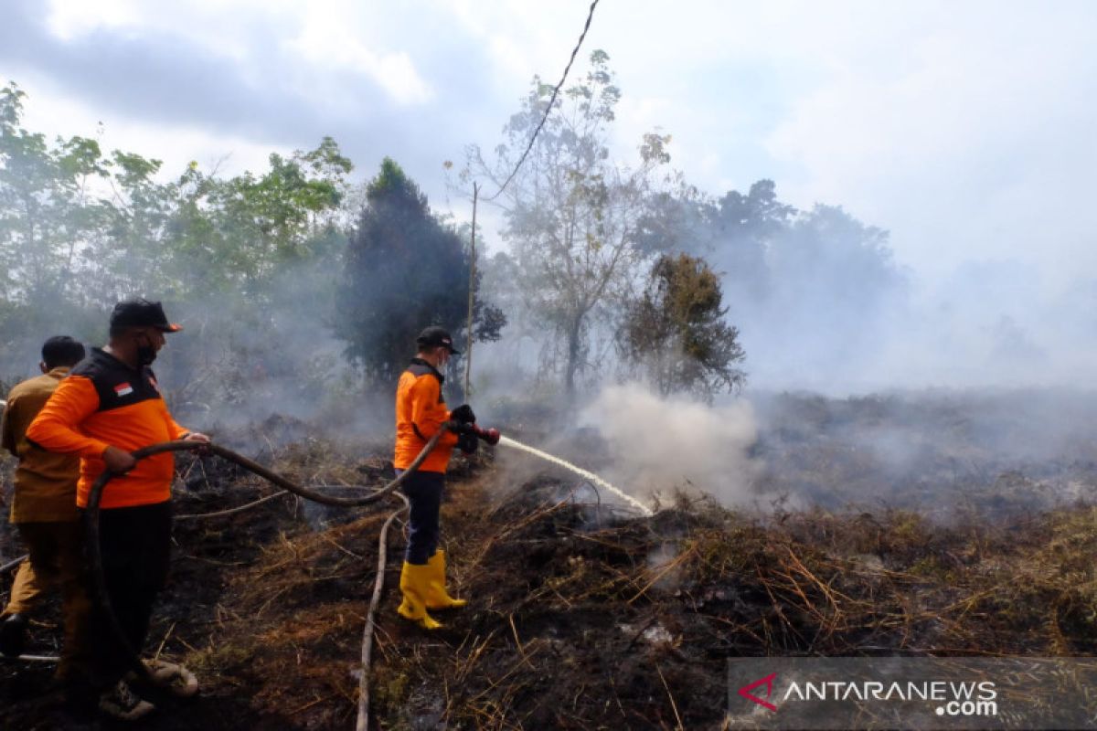 Karhutla terjadi di Pulau Rangsang, Bupati Meranti ikut padamkan api