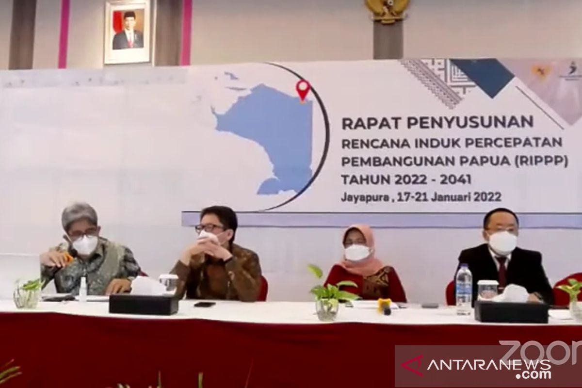 Kemenkeu: Sinergi pendanaan RIPP Papua 2022-2041 harus diterapkan