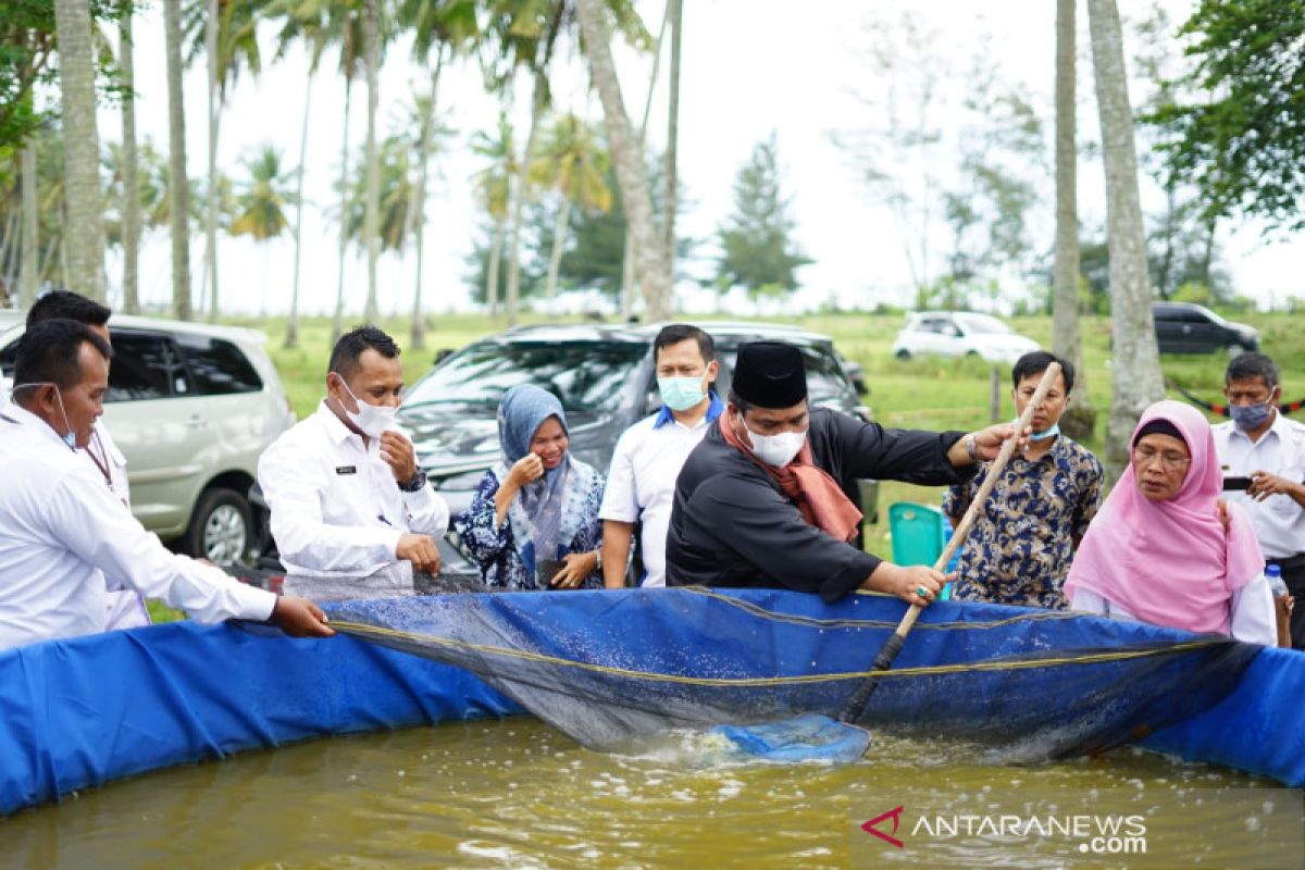 DAK 2021 di Dinas Perikanan Padang Pariaman untuk tingkatkan ekonomi warga