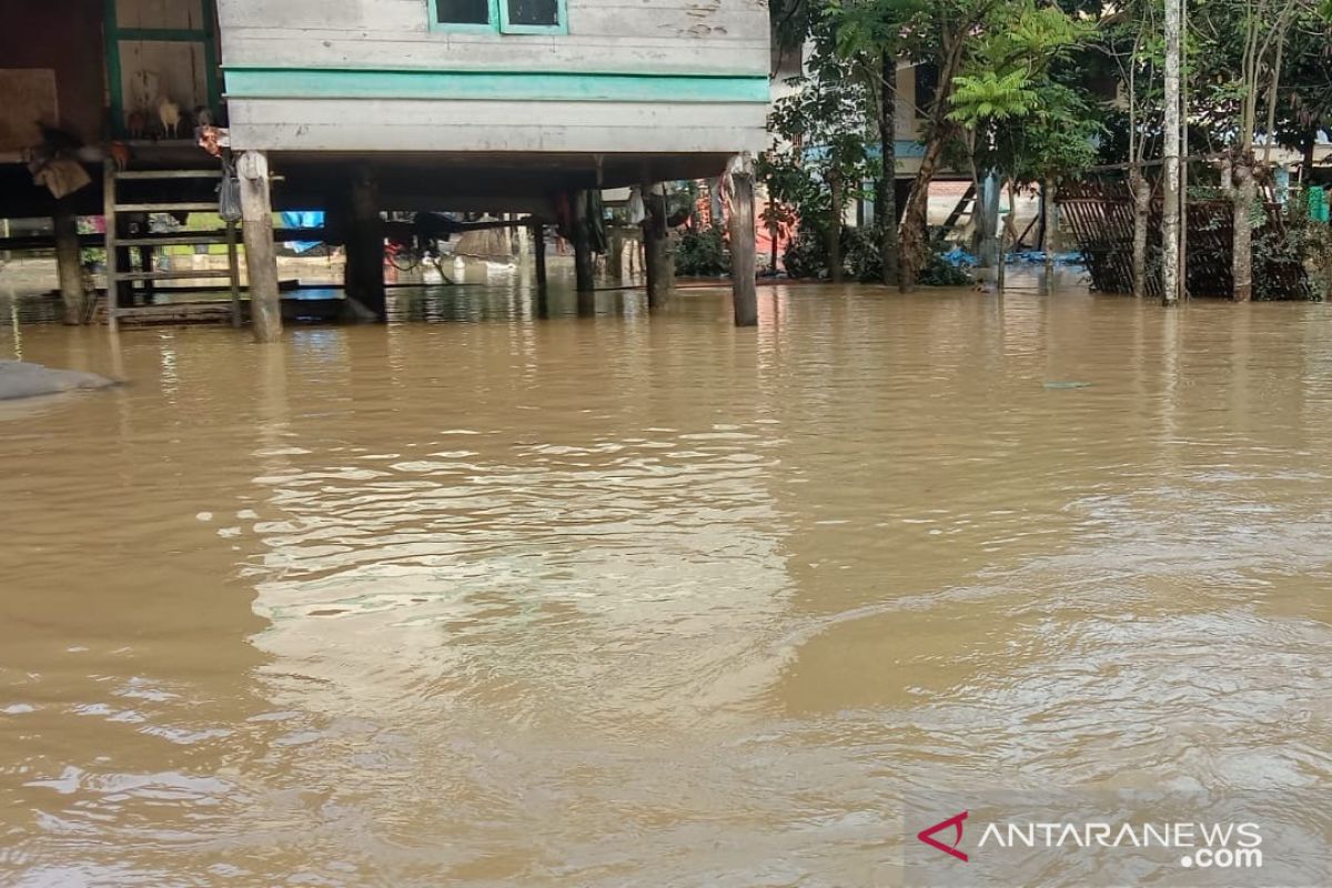 Tujuh kecamatan terendam banjir di Pidie Jaya Aceh, akibat hujan deras