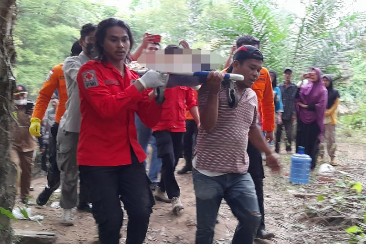 Tim gabungan Agam temukan jasad siswa SD diserang buaya (Video)