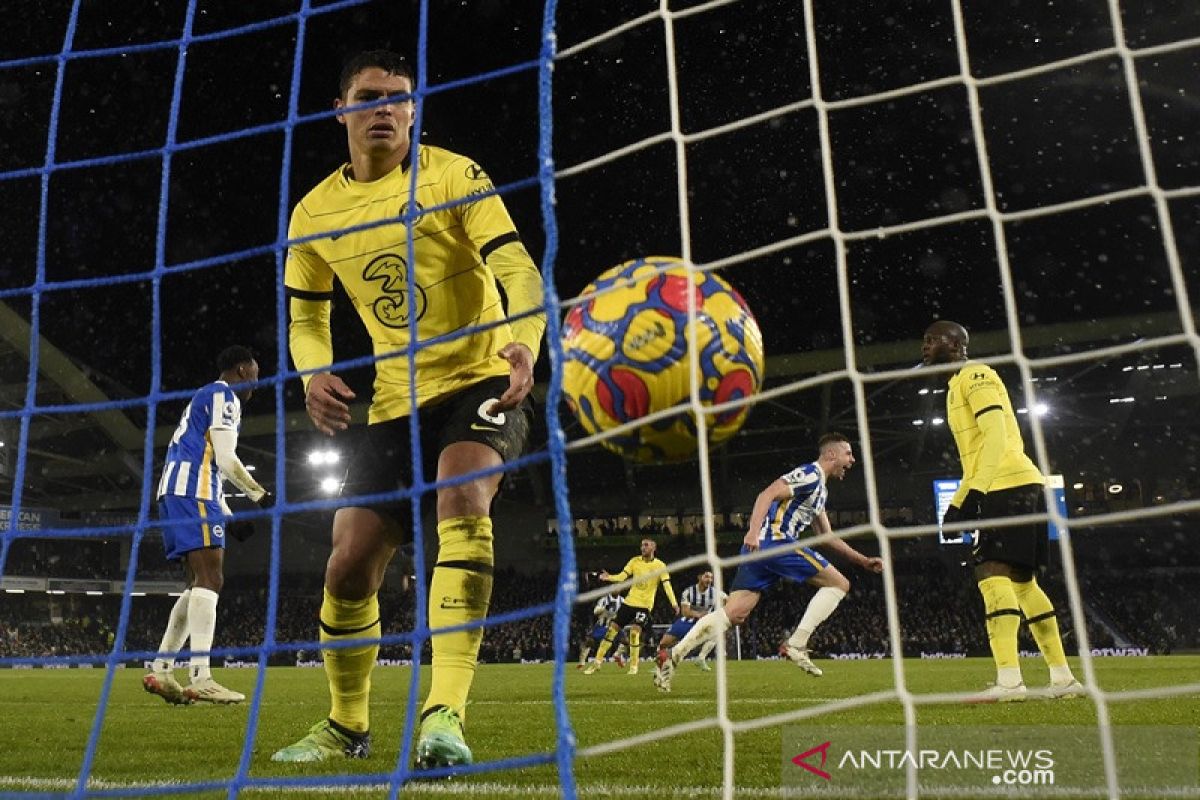 Brighton paksa Chelsea kehilangan dua poin, tahan imbang 1-1