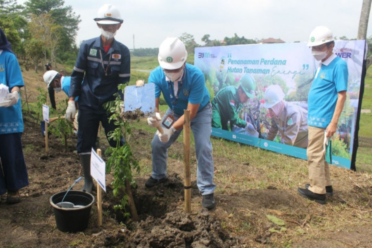 Indonesia Power siapkan ribuan hektare lahan hutan tanaman energi