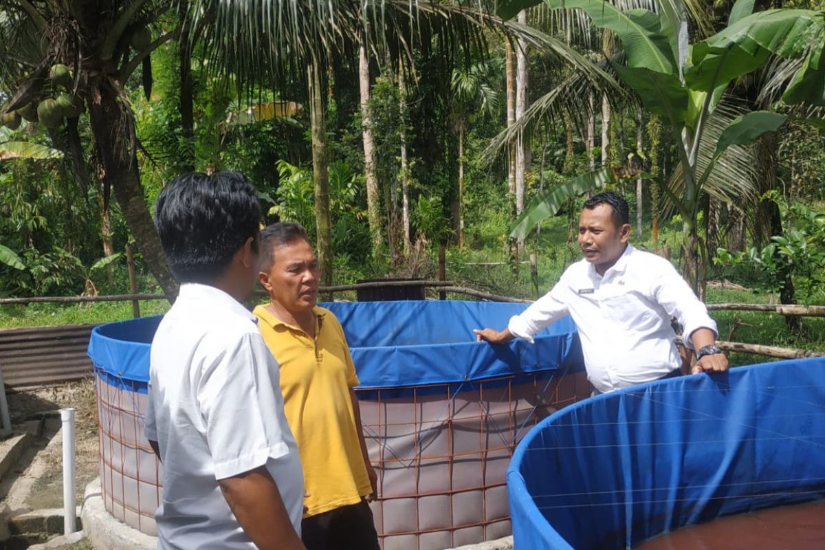 Padang Pariaman berencana bangun kampung gurami seluas 15 hektare tahun ini