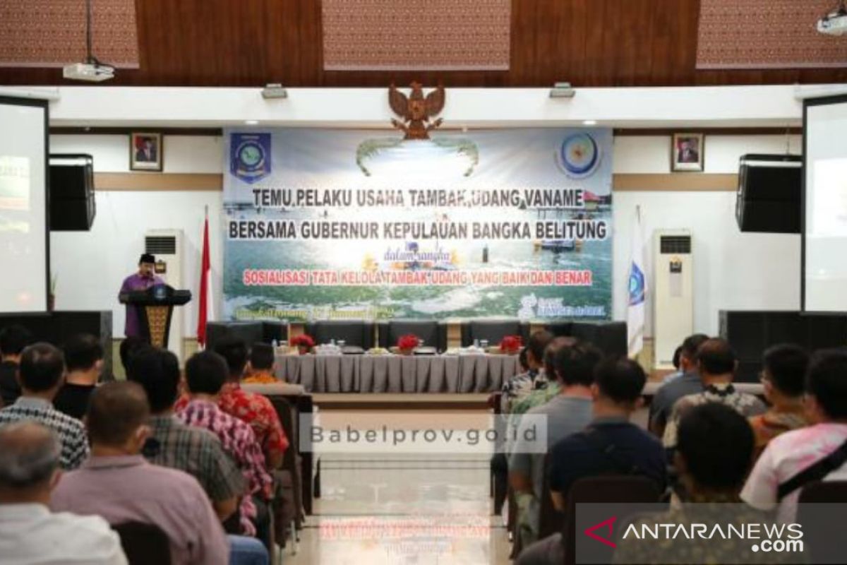 Gubernur Erzaldi ; IPAL Adalah Kunci Pengembangan Budidaya Udang Vaname