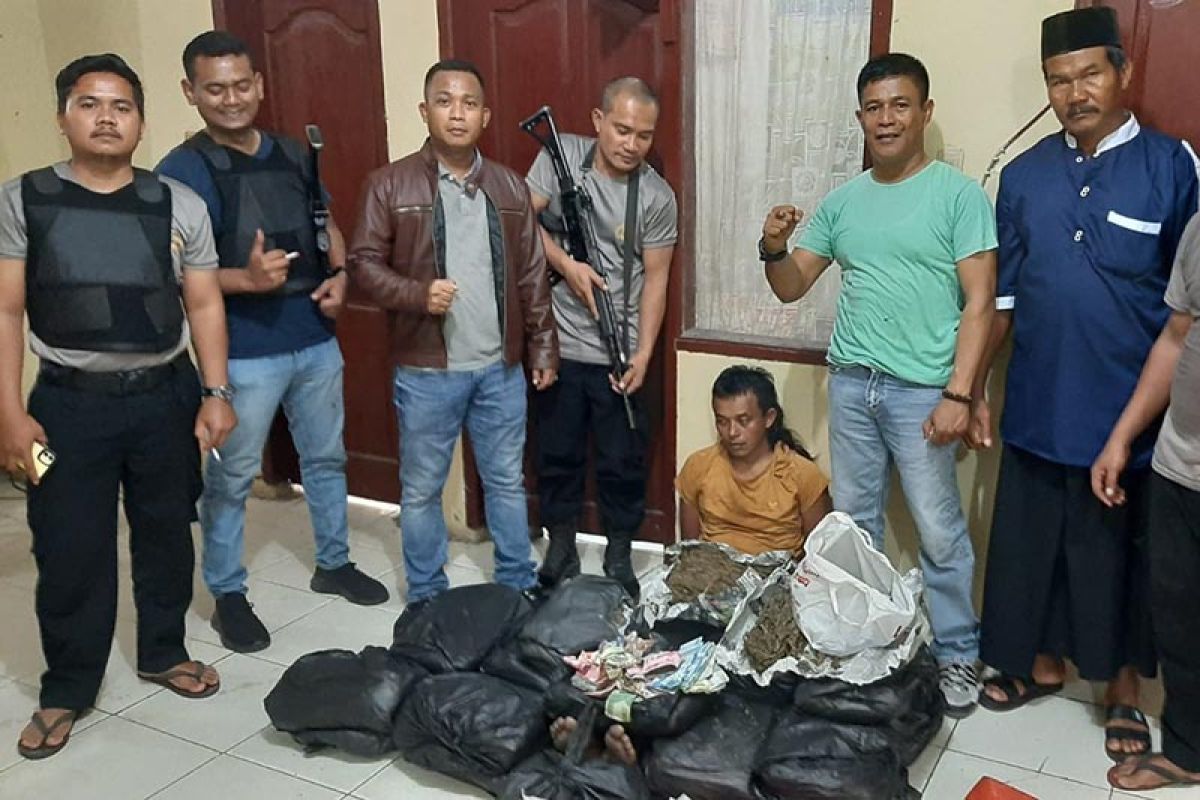 Polisi tangkap dua bandar ganja