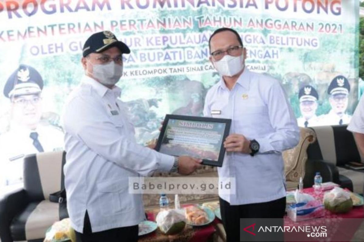 Gubernur Babel serahkan bantuan sapi di Desa Cambai