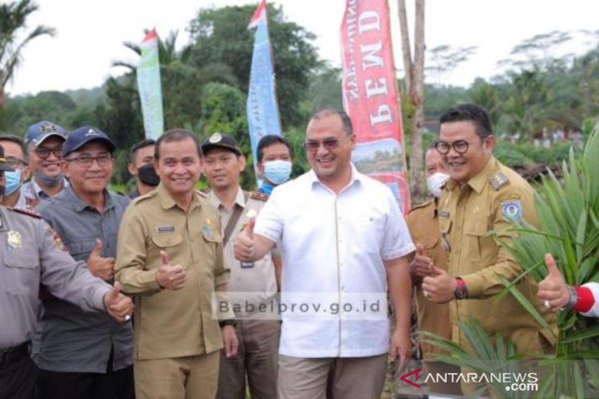 Gubernur Babel beri bantuan Rp30 juta, ajak petani manfaatkan program peremajaan sawit