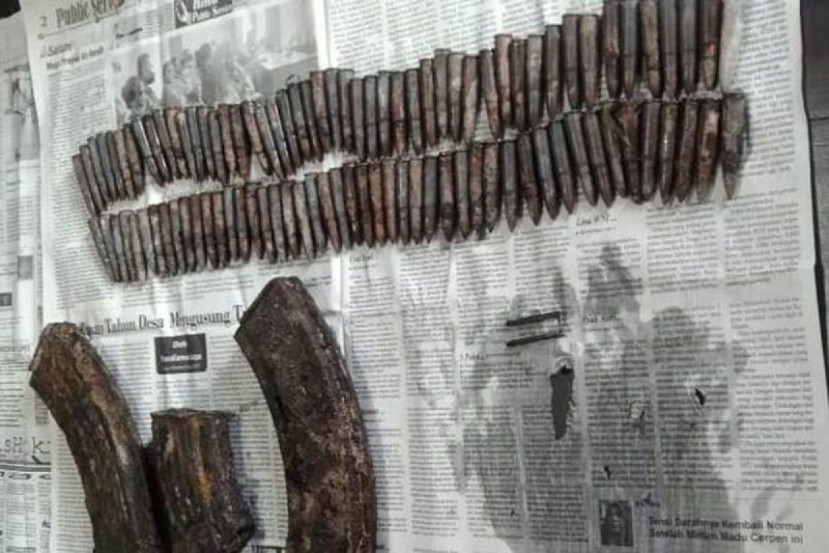 Polisi masih selidiki temuan peluru dan magazen AK-47 oleh warga di Kupang