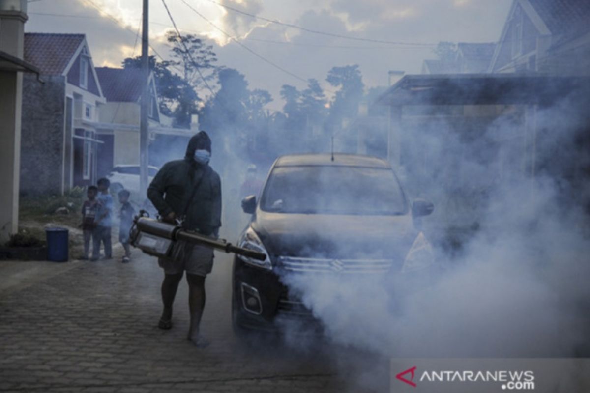 Dinkes Samarinda minta warga antisipasi penyakit DBD