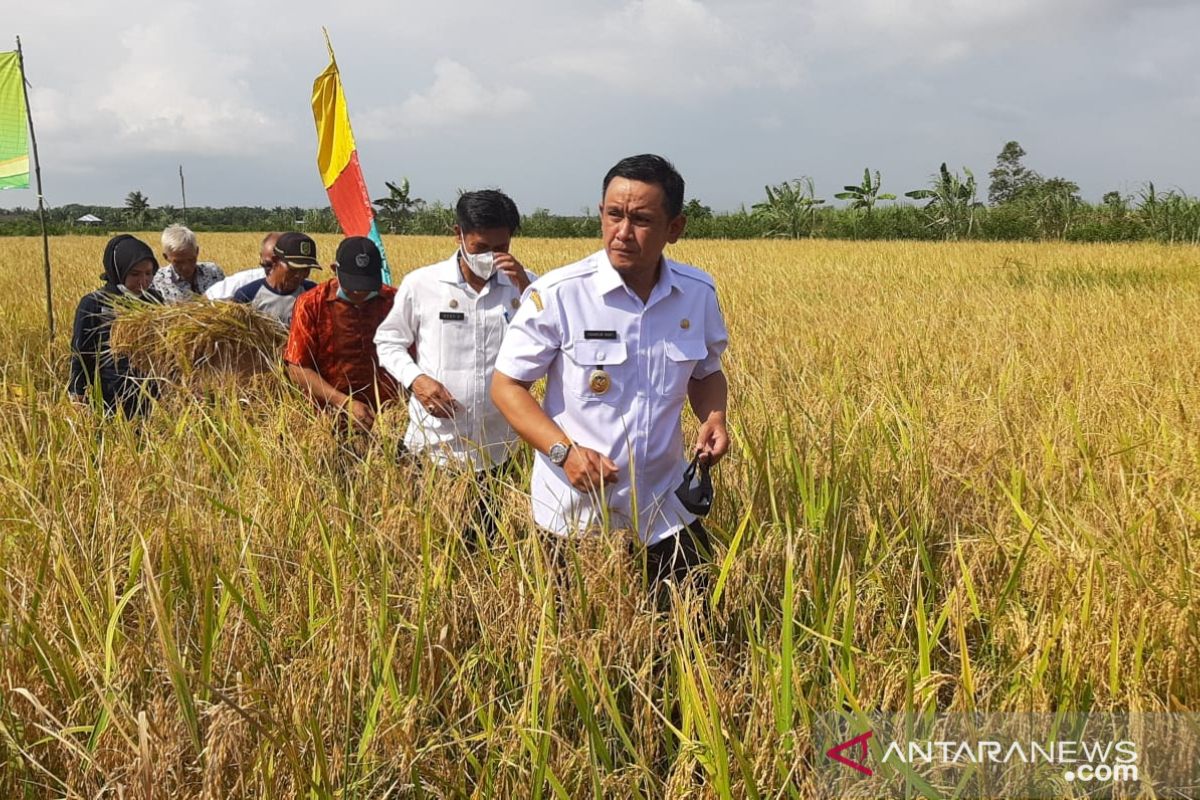 Wabup Sambas ingatkan pembangunan pertanian sektor hilir perlu perhatian