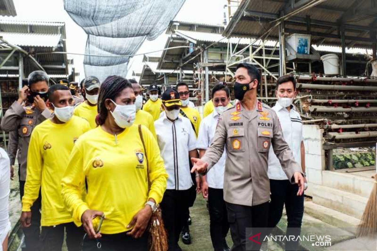 Warga asli Papua dilatih beternak unggas Program Operasi Rasaka Chartenz 2022