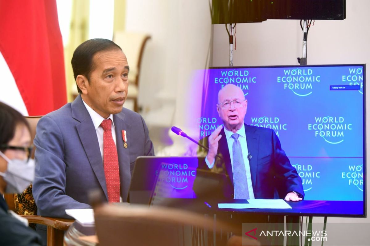 Jokowi yakini strategi pemerintah wujudkan ekonomi hijau