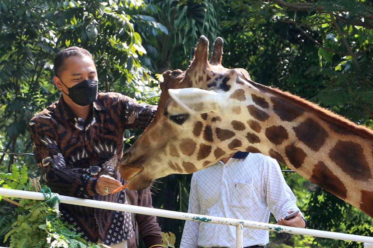 Surabaya administration to revamp zoo along with several parties