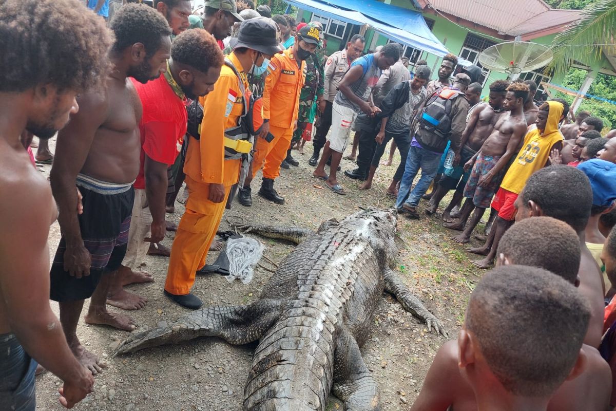 Potongan tubuh manusia ditemukan dalam perut buaya