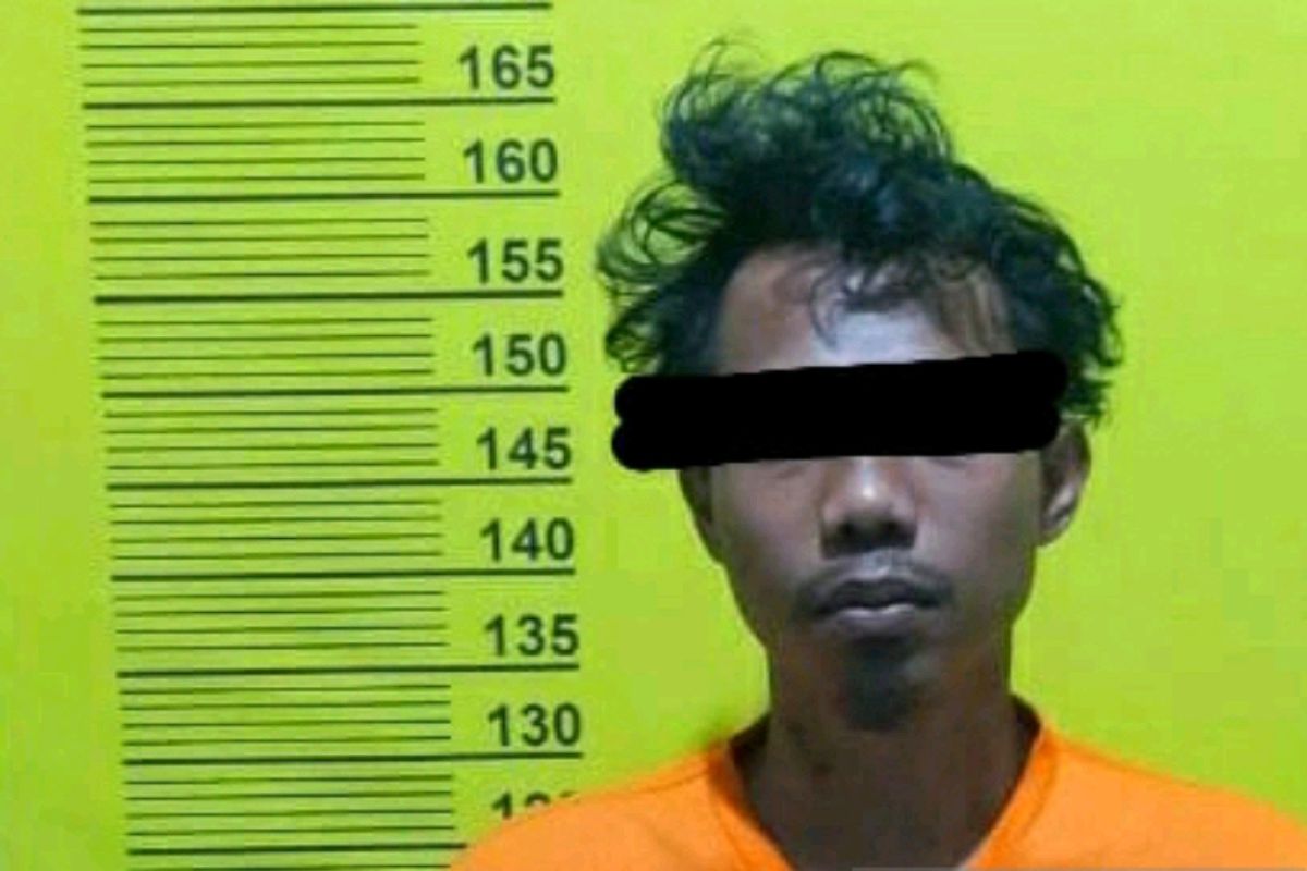 Polisi ringkus komplotan penerima Rp400 juta dari pegawai BRILink di Rohil