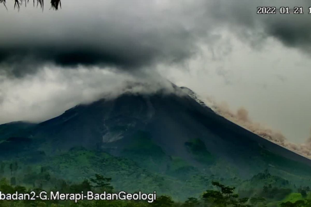 Gunung Merapi meluncurkan awan panas guguran sejauh 2,5 km