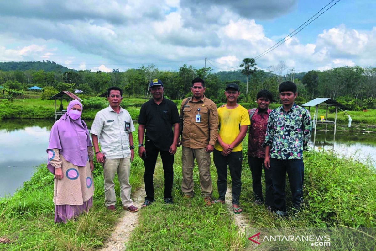 Ada 200 hektare potensi budidaya ikan patin di Kampar