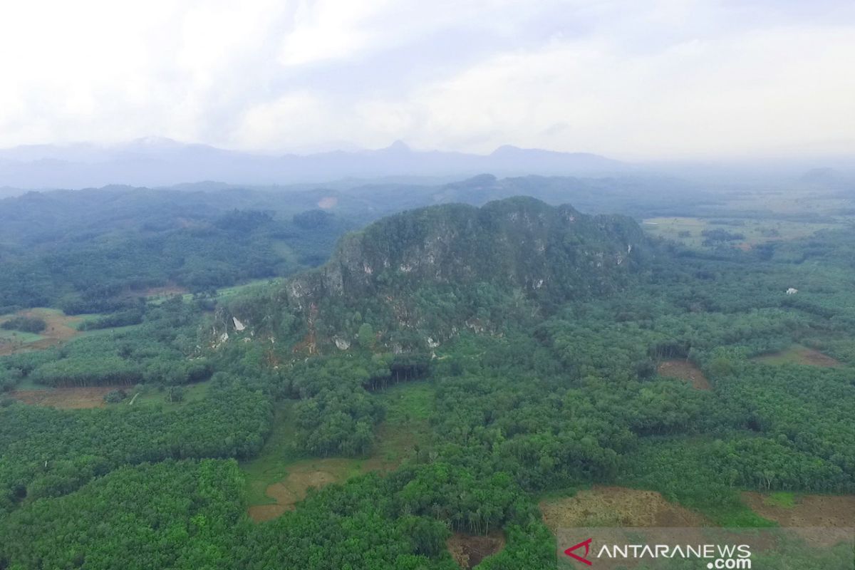 Batu Bukit Langara Loksado Kalsel merupakan fosil binatang laut