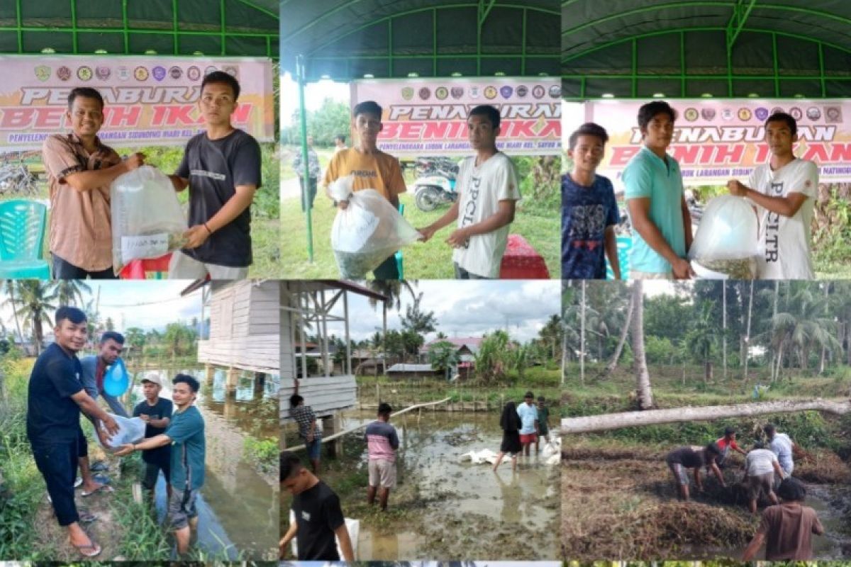 PNNB Sayurmatinggi buat 5 kolam budidaya ikan mendukung visi Bupati Tapsel