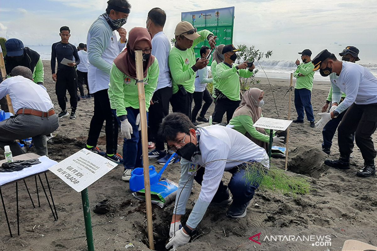 Pemkab Cilacap dan Pertamina tanam 3.000 cemara laut antisipasi abrasi