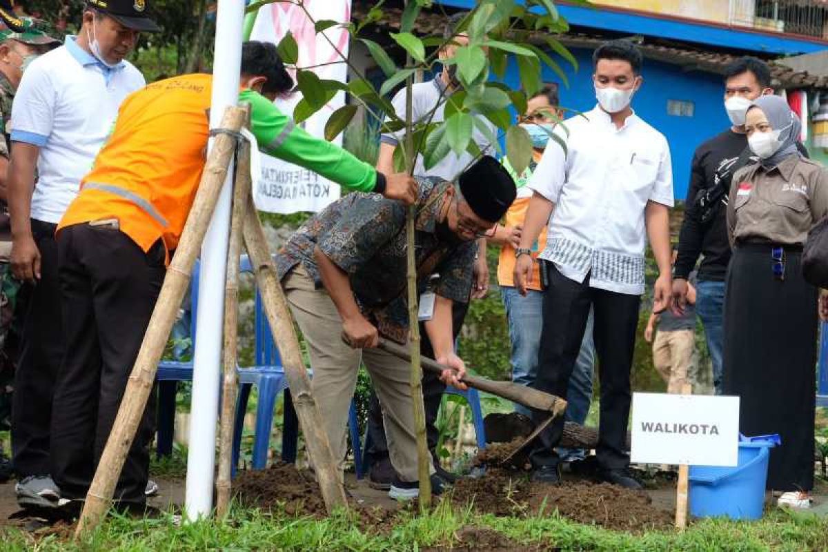 Magelang government conducts tree planting activities