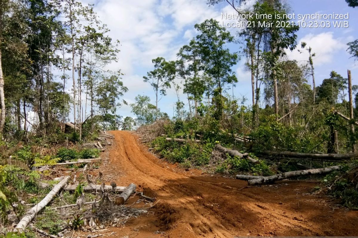 Mukomuko-perusahaan perkebunan bangun posko pengamanan hutan