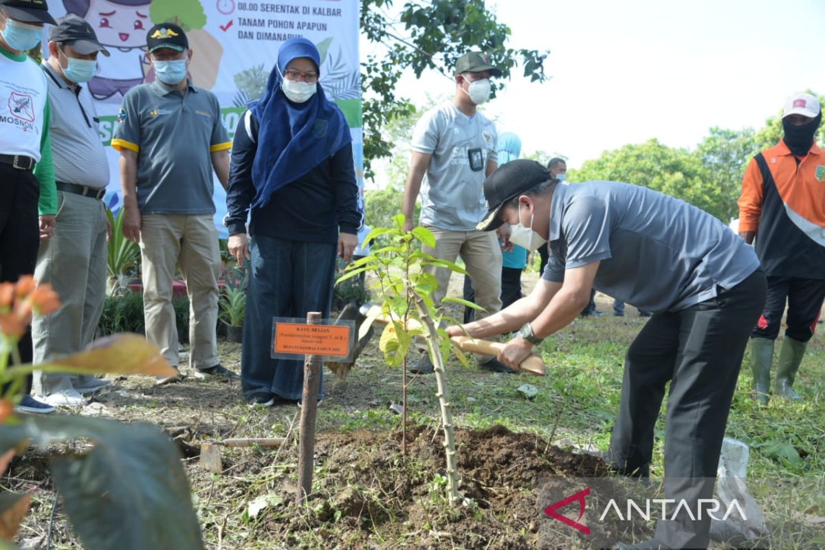 Jaga lingkungan untuk ruang hijau, komitmen Pemkab Sambas