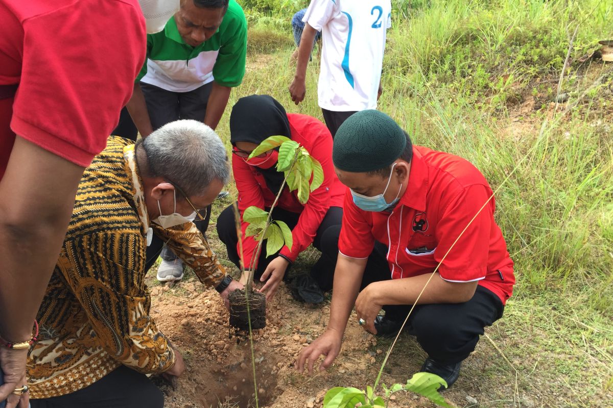 PDIP Maluku realisasikan gerakan rawat ibu pertiwi, begini penjelasannya