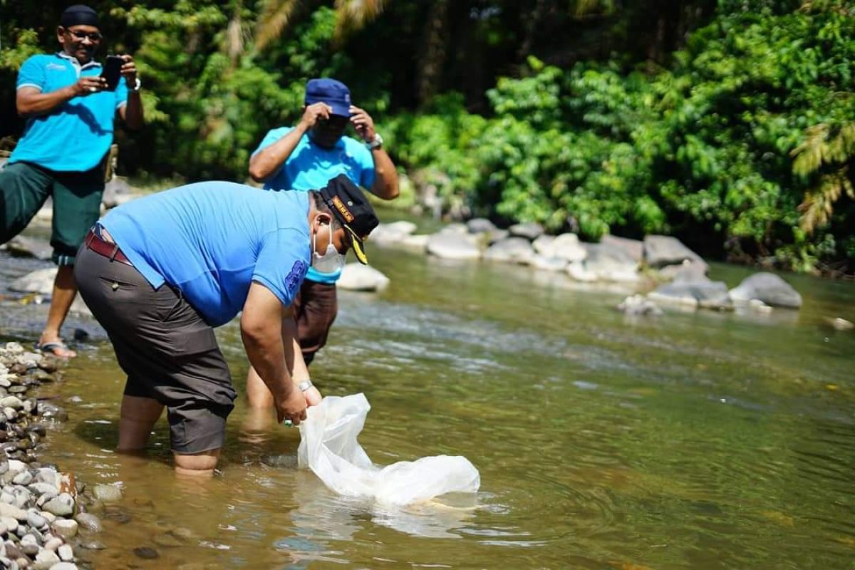 Pemkab Padang Pariaman salurkan 420.500 ekor bantuan bibit ikan sepanjang 2021