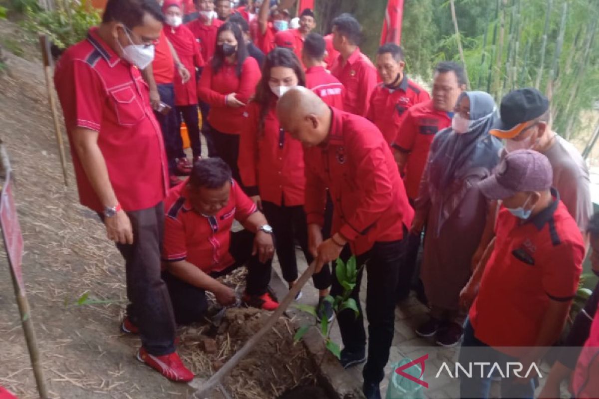 PDIP Kota Medan tanam ratusan pohon di bantaran Sungai Deli