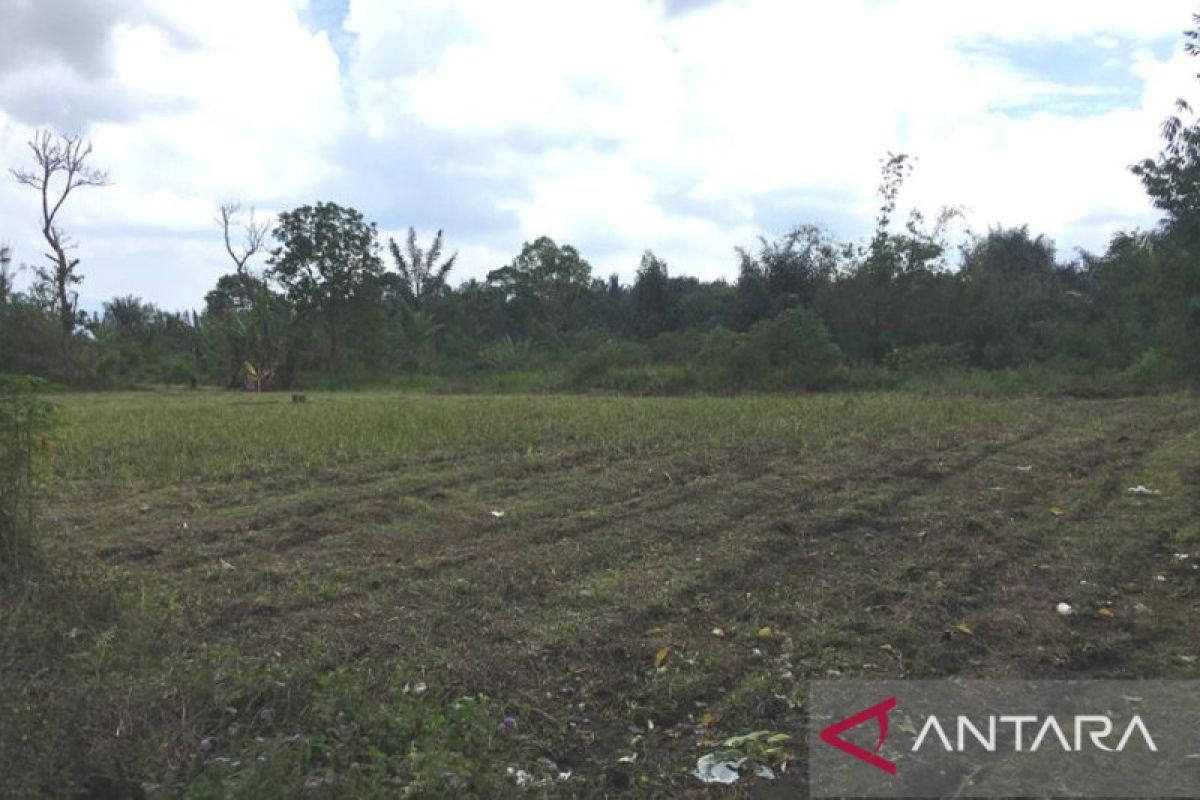 Pemkab Rejang Lebong siapkan persyaratan pendirian BNNK