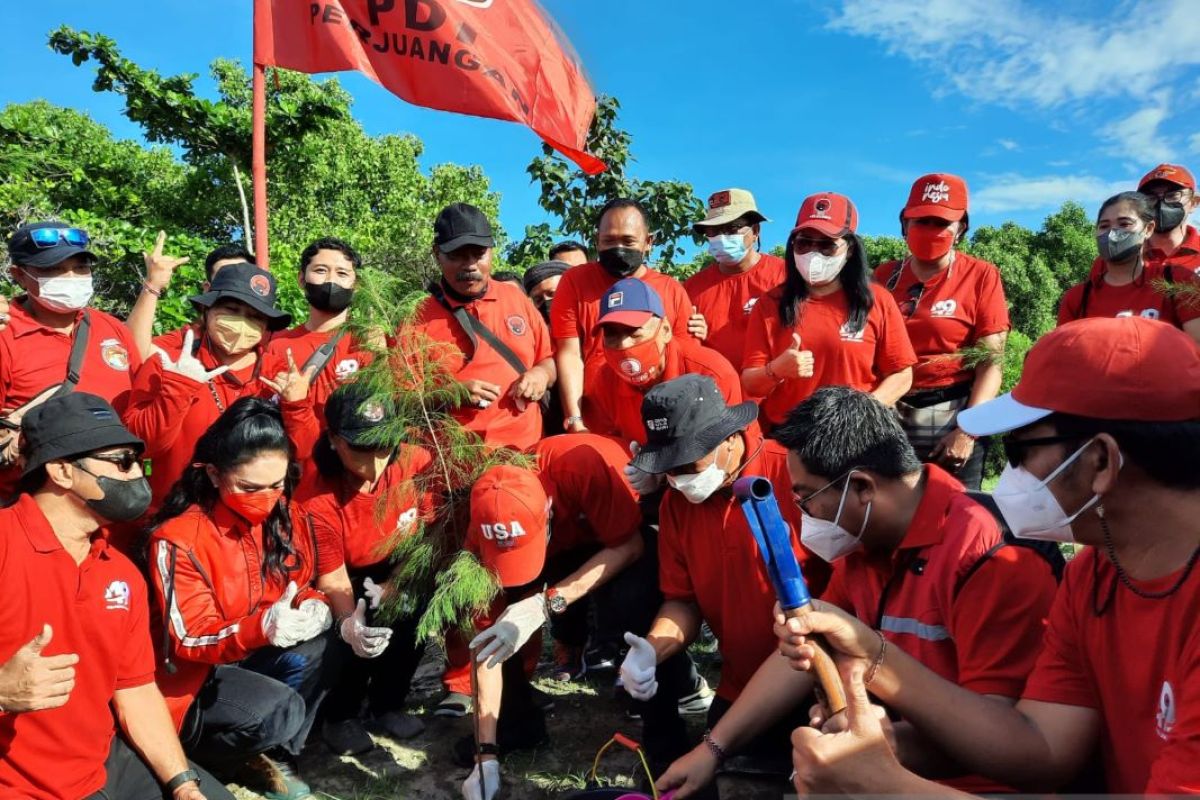 Pengurus PDIP tanam bakau dan cemara udang di Sanur-Bali (video)