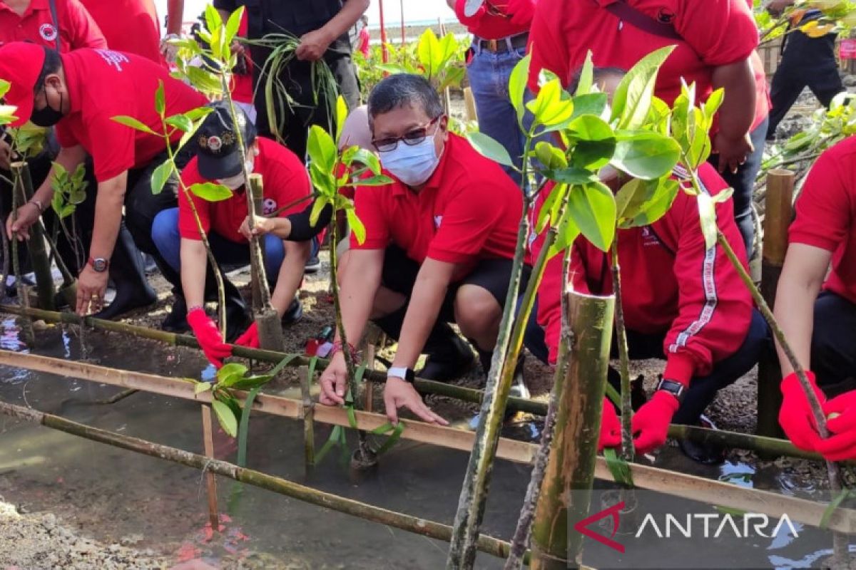 21.000 bibit pohon ditanam pada lima daerah di Bali (video)