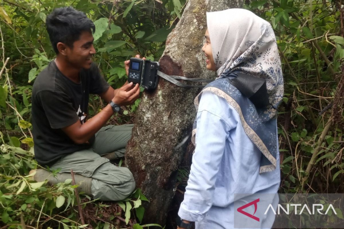 BKSDA Sumbar pasang kamera jebak pantau beruang madu