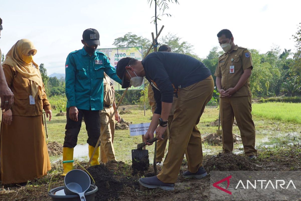 Seribu bibit pohon akan ditanam bertahap di Loksado