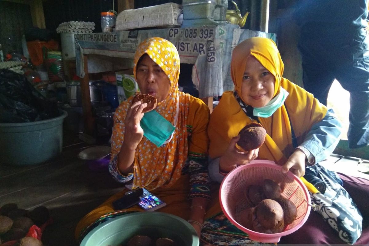 Miliki potensi gula aren dan madu, Hutan Pendidikan Unhas