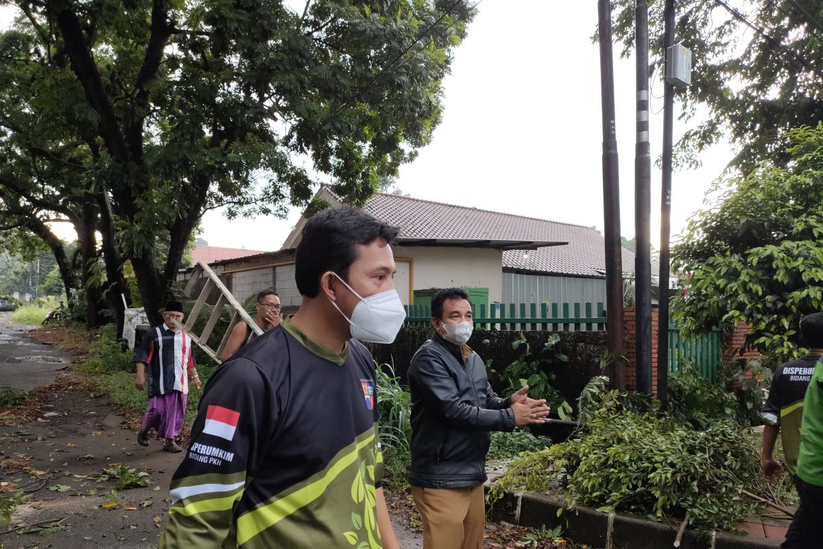 Hujan disertai angin kencang akibatkan puluhan pohon tumbang di beberapa titik jalan Kota Bogor