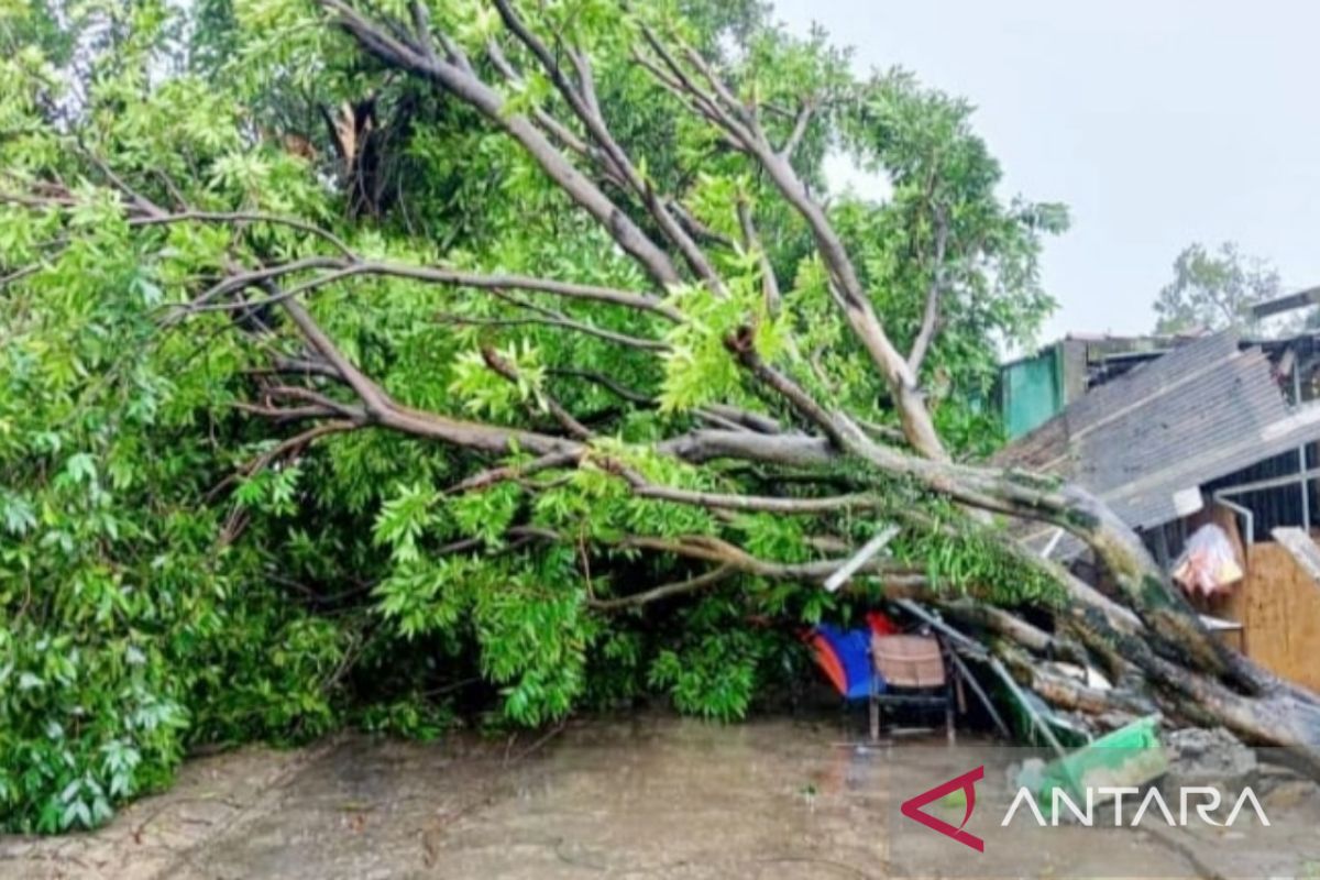 BPBD Kabupaten Bogor catat delapan bencana akibat angin kencang