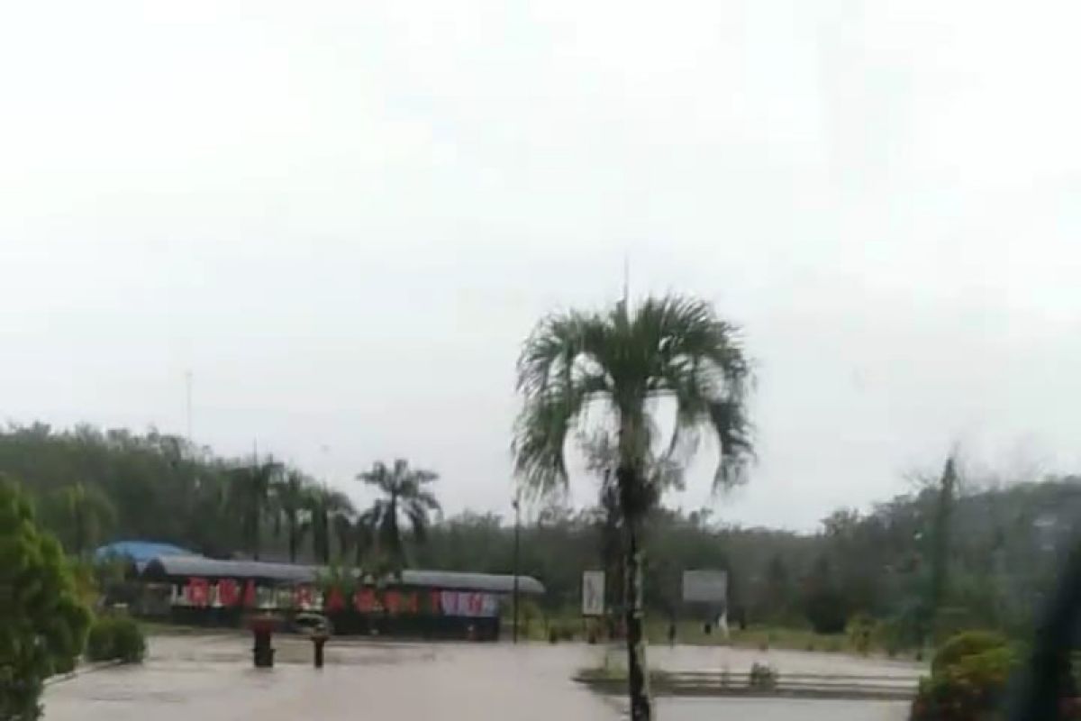 Produksi benih ikan di Tabalong masih rendah