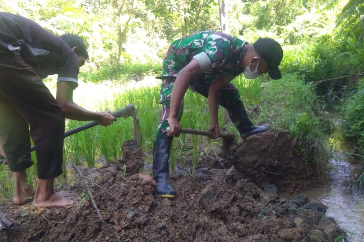 TNI Perbatasan bantu petani bersihkan pengairan sawah